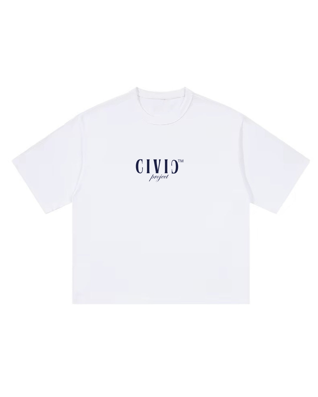 CIVIƆ™ Proyect
