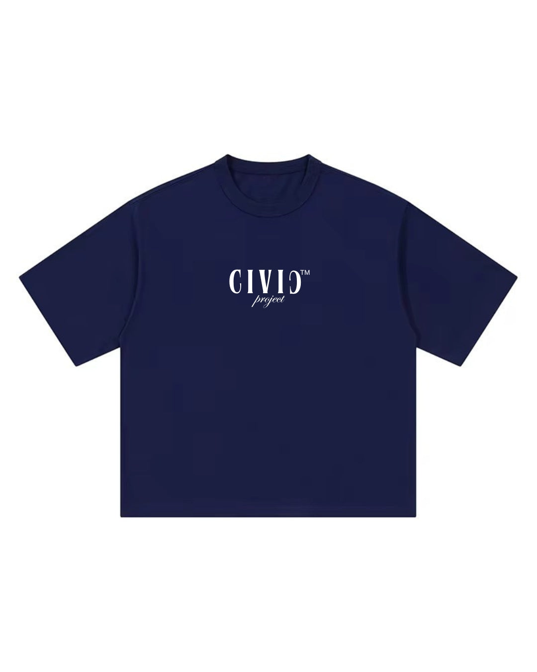 CIVIƆ™ Project